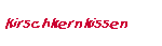 Kirschkernkissen